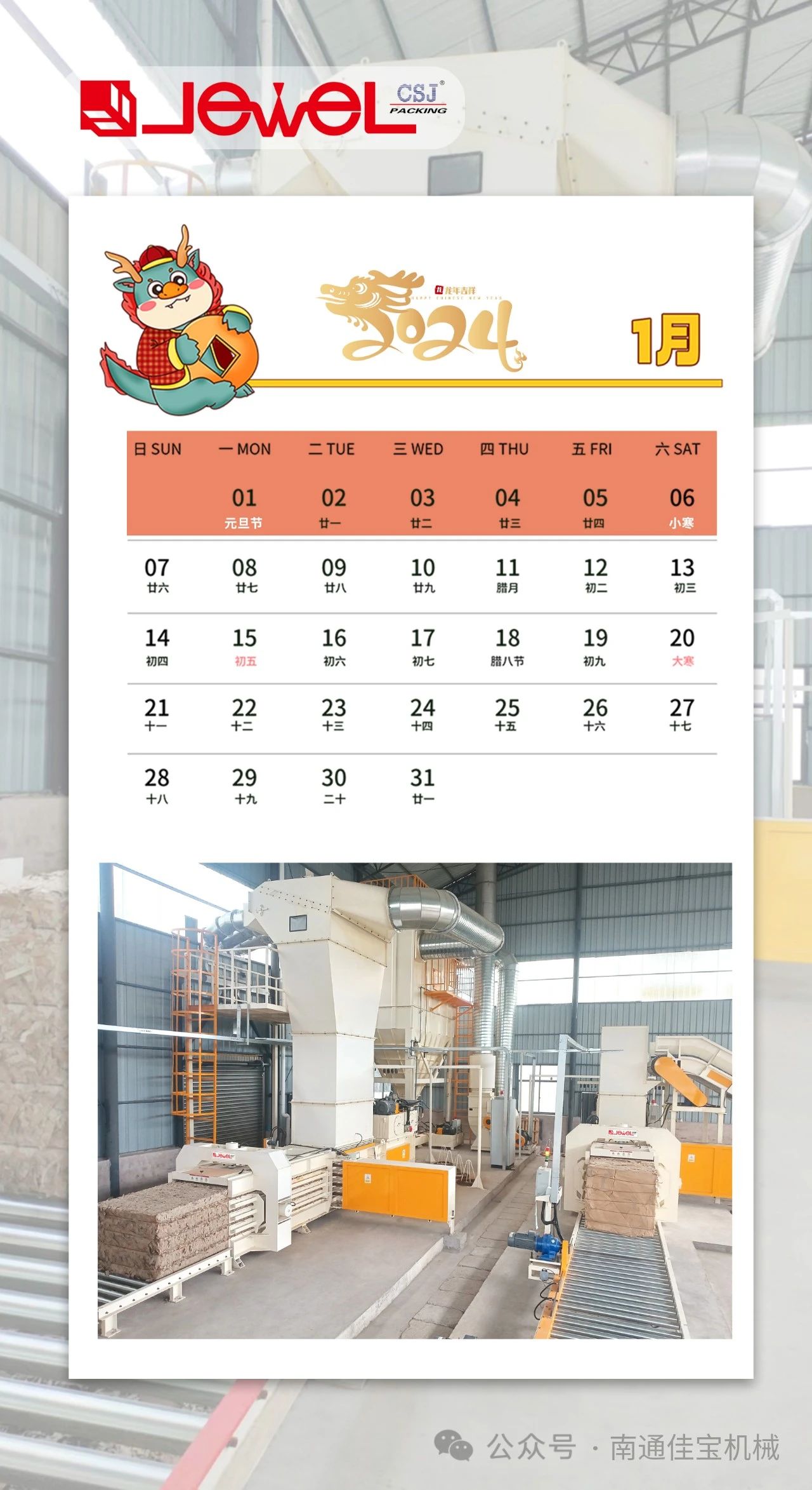 南通佳寶｜2024